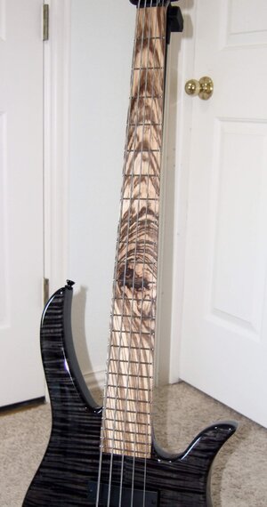 NEW Kiesel B25 Bromberg Signature 5 string, Fretted.