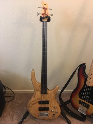 Roscoe Century Standard Fretless