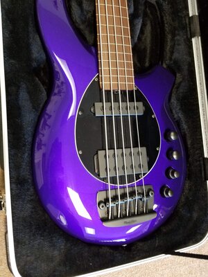 2018 Musicman Bongo 5 Lined Fretless