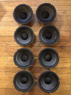 SWR 8x8  2 speakers available