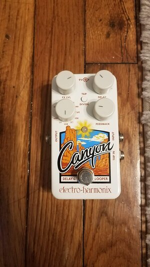 Electro Harmonix Canyon