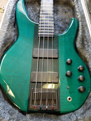 Beautiful Status Empathy 4 / Green Graphite Neck