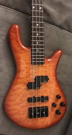 Spector Legend 4 with upgraded PUPS, Pre and MORE!