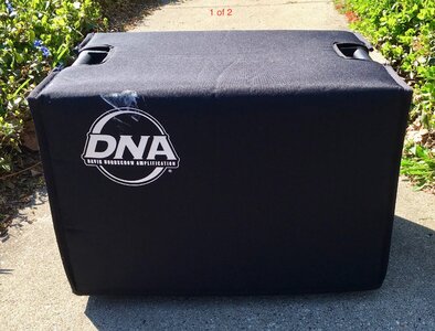 DNA DNS 112C Speaker Cabinets (2 available)