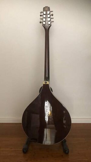 IRISH BOUZOUKI - TRINITY COLLEGE TM-375 PLUS HARDCASE AND SPARE STRINGS