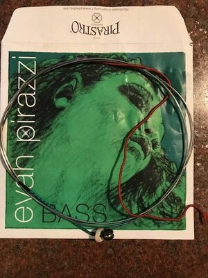 Evah Pirazzi D and G strings regular gauge Price Drop $30