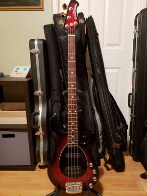 EBMM Sterling 4 HS Black Cherry Burst w/matching headstock