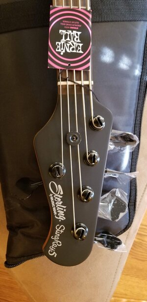 *Price Drop* Sterling by MusicMan Ray35 HH