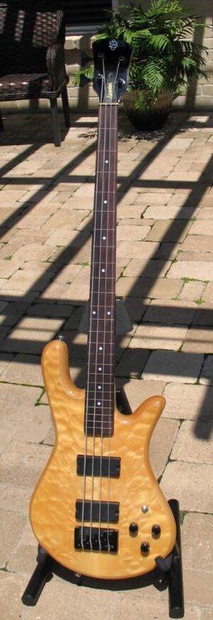 Spector Legend Fretless Conversion. Delano's.