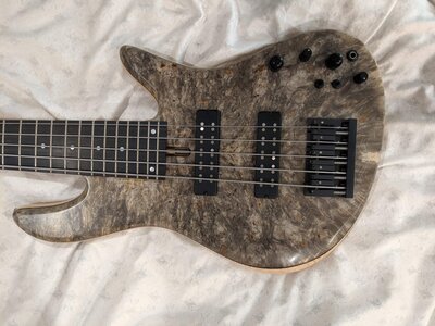 Fodera Emperor 5 Standard Special: buckeye burl