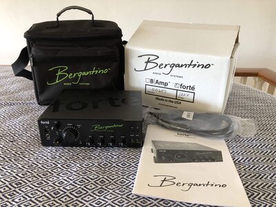 Bergantino Forte amp