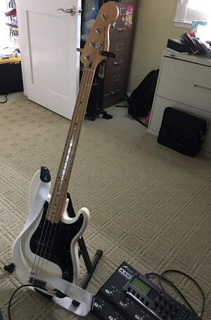 bass-s.jpg