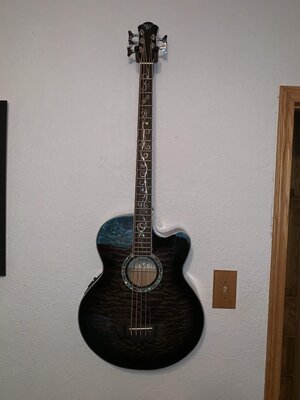 Michael Kelly Dragonfly 5string acoustic bass