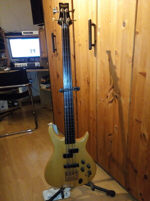 Musician Bass