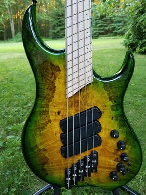 Dingwall Z3 - stunning spalted maple X-top - MINT