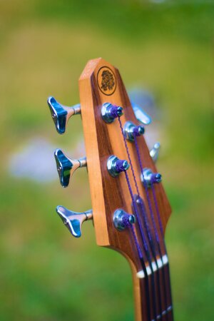 2003 Rick Turner Renaissance 5 Black Acacia Fretted