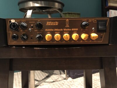 MarkBass Little Mark Tube 800, ears, near-mint