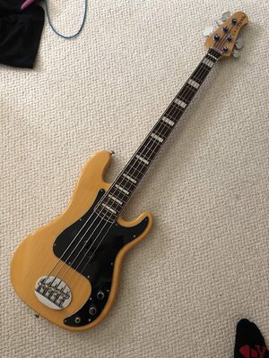 Lakland 55-64