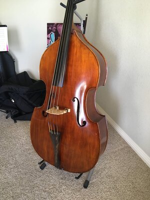 7/8 Shen SB200 MAPLE *Reduced*