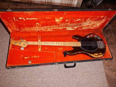 1978 Music Man Stingray Case