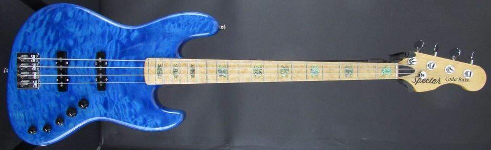 Looking for my old blue Spector Coda Deluxe