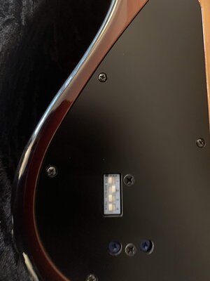 Sadowsky NYC Will Lee 5 Alder/Ebony HC Pickups w/OHSC`