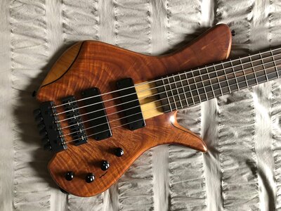 ACG Krell E-Type Headless 6 - Indian Cedar/Alder/Ash/Mac Ebony MINT