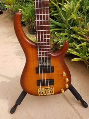 2007 Modulus Q-5 Chechen Fretboard