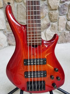 Roscoe SKB 3005 Custom 5-string - GORGEOUS, light, and killer tone