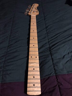 2016 SX Ursa I P Bass Neck