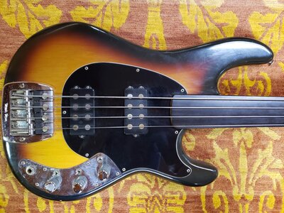 Ultimate Fretless Bundle