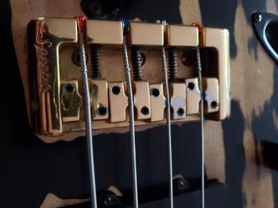 Spector Euro 4 bridge trade