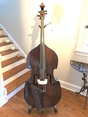 German String Bass - New Price!