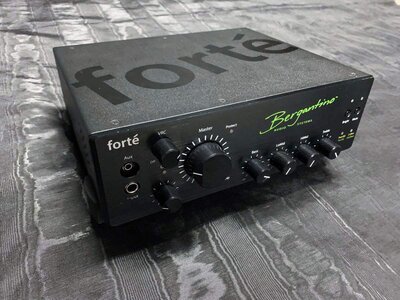 Bergantino Forte Bass Head