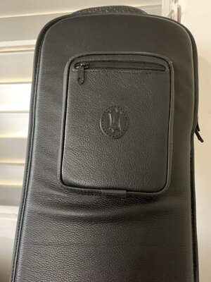 Levy's Leather Gig Bag (blk)