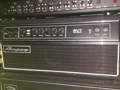 Mint ampeg svt CL