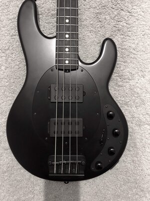 Black Musicman 4HH Mint w/hardshell