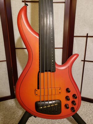 F-Bass AC-5 Fretless--still available