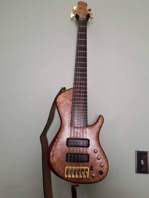 Pavel Aryel Deluxe 6-string Bass Guitar