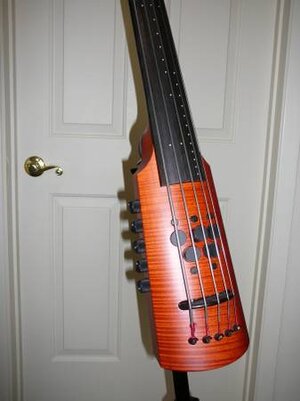 NS Design OMNI Bass 5-string 34" fretless CR5B reduced $2250