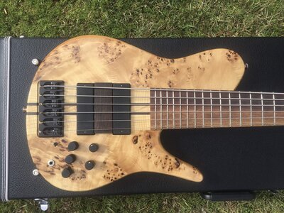 Stevan Nimcevic Singlecut 6 String Bass