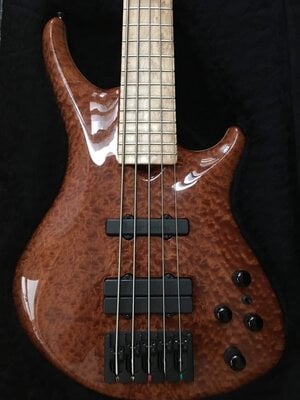 Roscoe SKB 3005 Custom J3 5 String