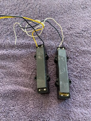 Fender Jazz Noiseless pickups 5