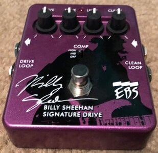 Billy Sheehan Signature Drive $90 SHIPPED