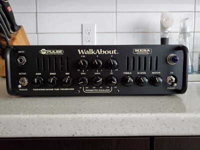 Mesa Boogie Walkabout with vintage Telefunken and JAN Phillips preamp tubes