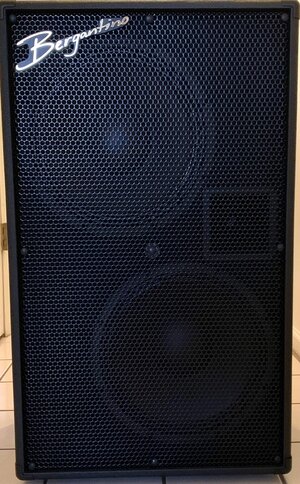 Bergantino HG312 Cabinet. Berg HG 312 cab - MINT, AS NEW!