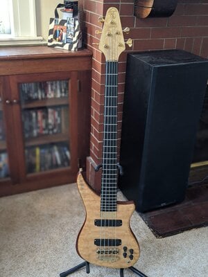 Alembic Epic 5-string Special Edition