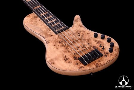 Adamovic Light 5 singlecut - Poplar Burl top, Block inlays