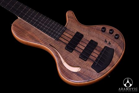 Adamovic Hollow 33 5-string Fretless