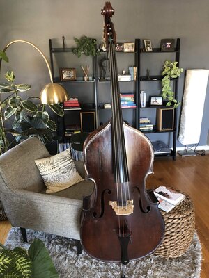 1930's German Double Bass, 3/4 round back, beautiful!